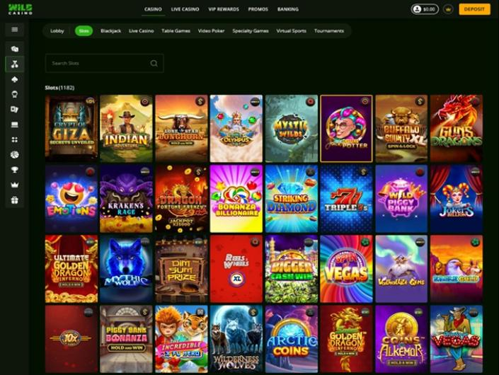 Casino Review: Wild.io - Preview 2
