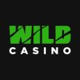 Logo/Favicon for Wild.io - Best Casino 