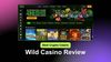 Wild.io Casino Review: Best Crypto Casino
