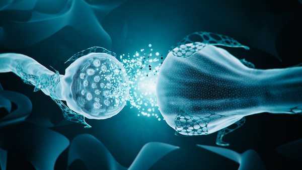 Embryonic Neuroadaptations: A New Worldview for Developmental Neuroscience and the Dismantling of Psychopathology