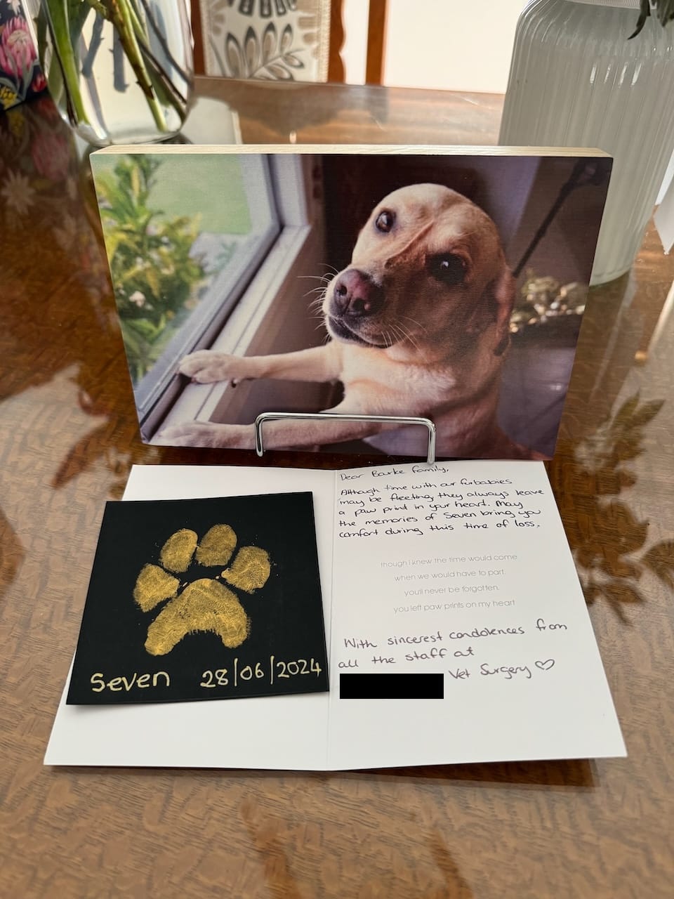 A note from a vet surgery with a paw print of a dog named Seven after she passed away.