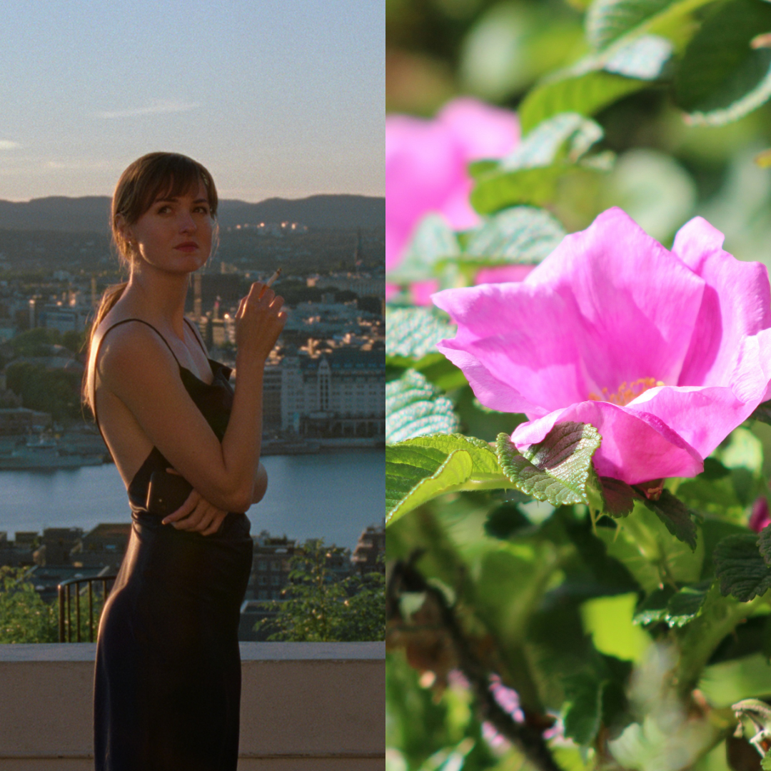 The Worst Person in the World + Rose