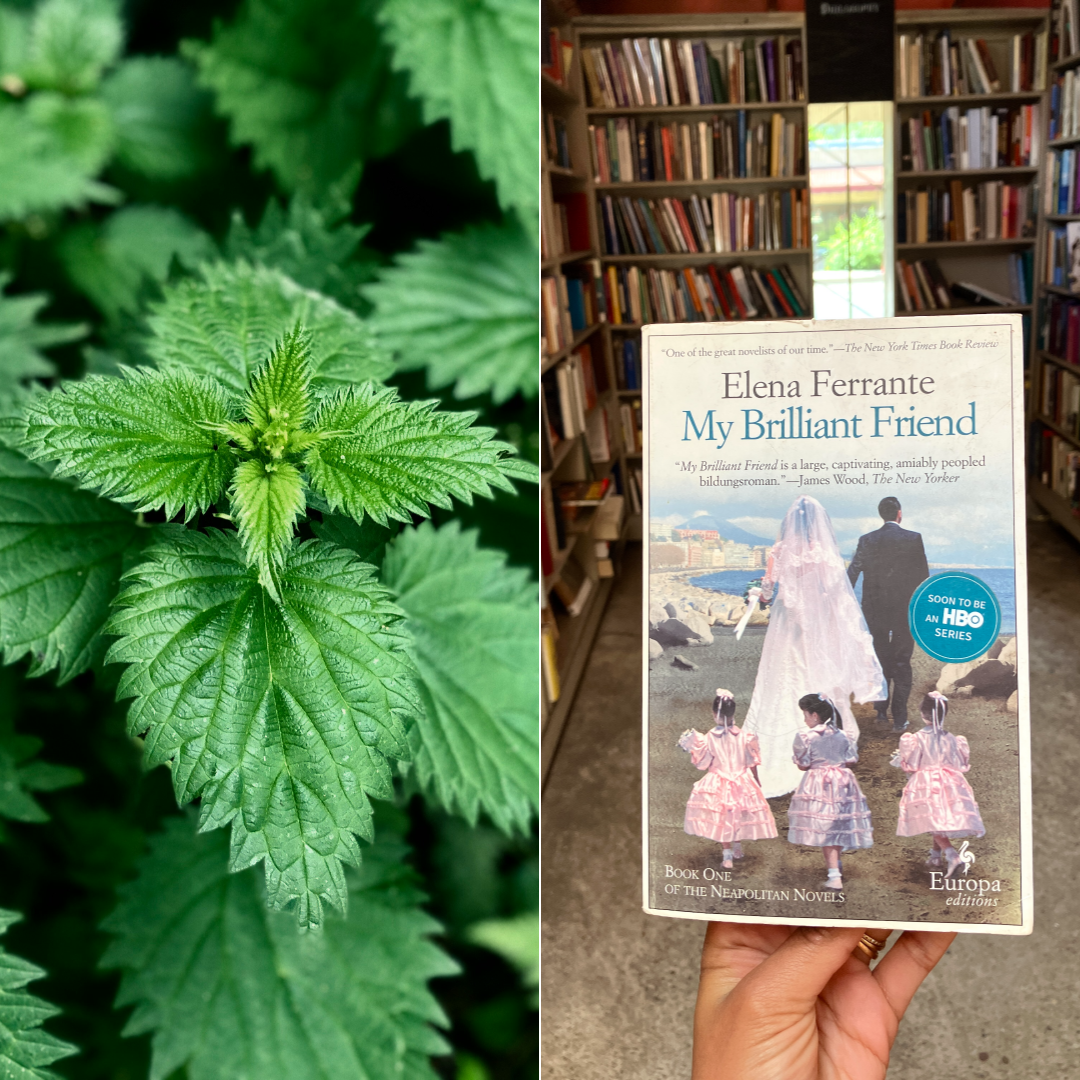 Nettles, Allergies and "My Brilliant Friend"