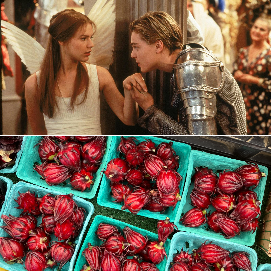 Romeo + Juliet + Hibsicus