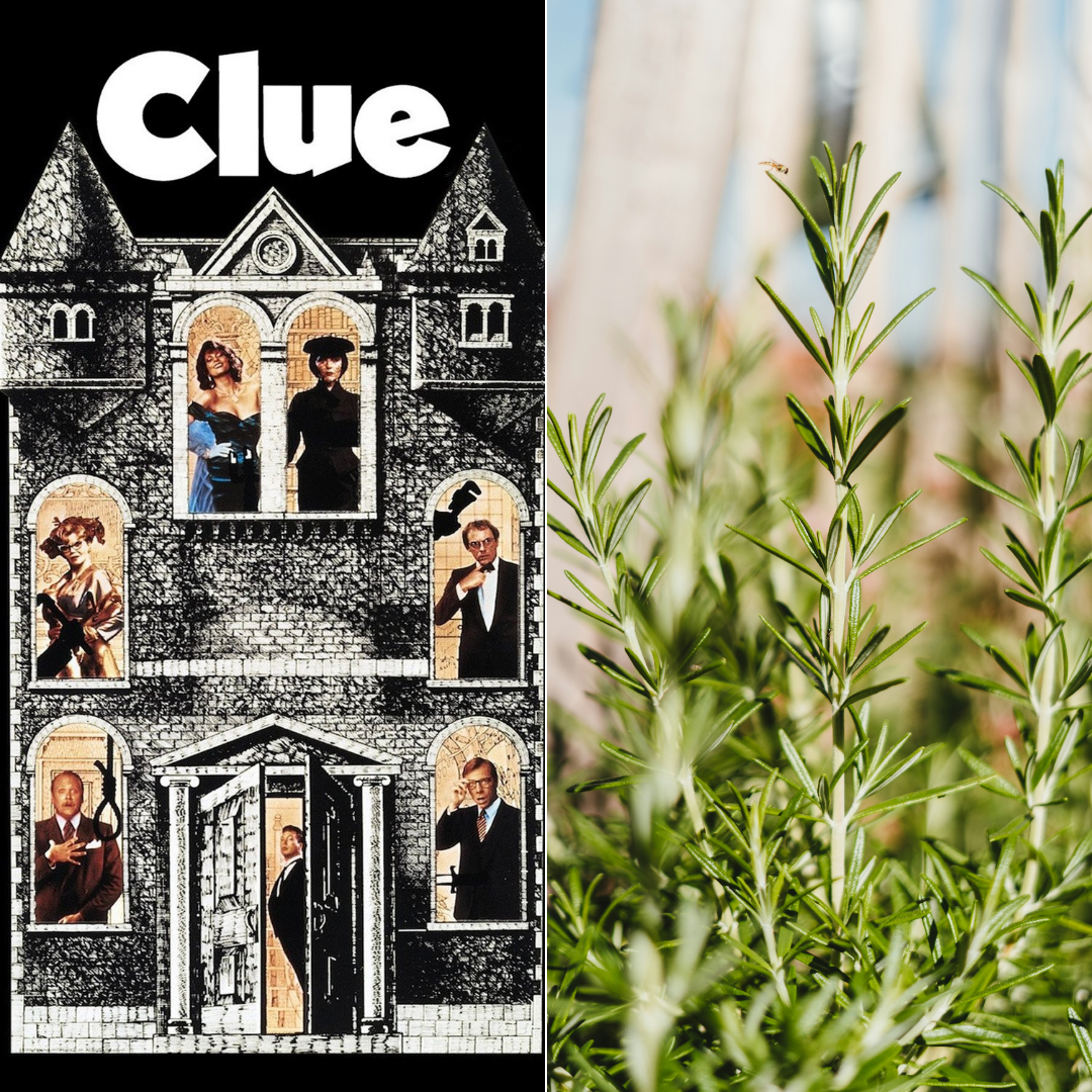 Clue, Camp and Rosemary