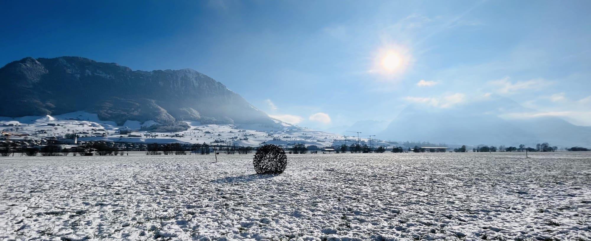Über Manuela Frenzel