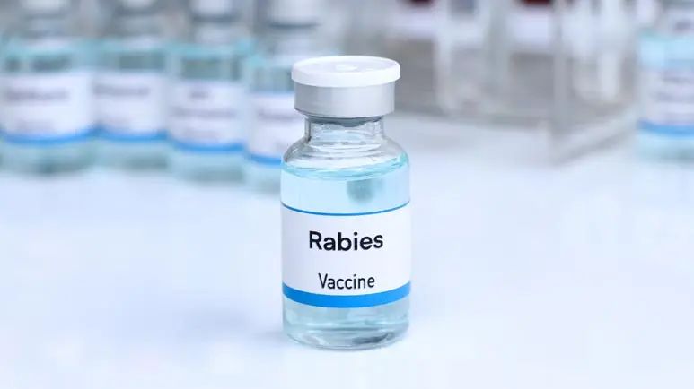 ¿Se acercan buenas noticias para las vacunas contra la rabia?