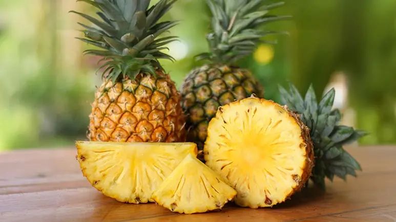 Piña: ¿Puedes compartir esta fruta tropical con tu mascota?