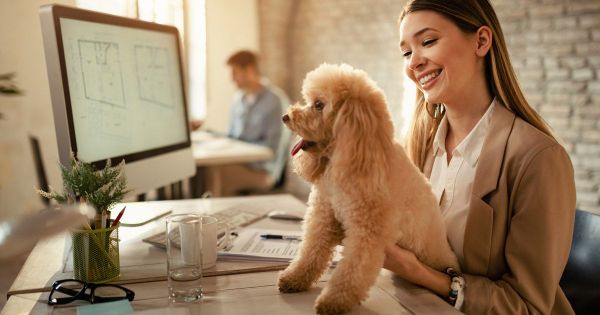 Empleadores ofrecen beneficios para fomentar el regreso a trabajar en oficinas