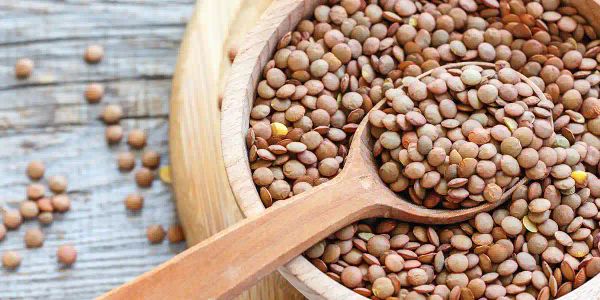 Lentejas: ¿Puedo darle lentejas a mi mascota?