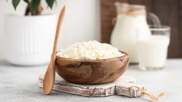 Queso cottage: el bocadillo saludable para las mascotas