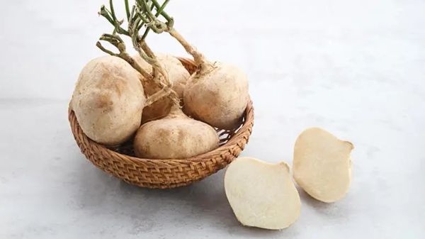 La jícama: un vegetal nutritiva y beneficiosa para el intestino que debes probar