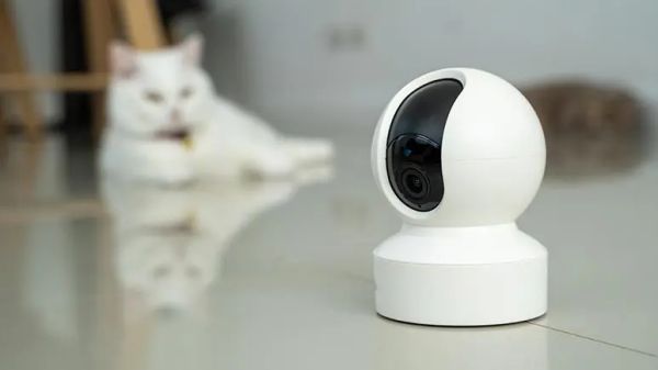 ¿Este dispositivo puede calmar la ansiedad por separación de tu mascota?