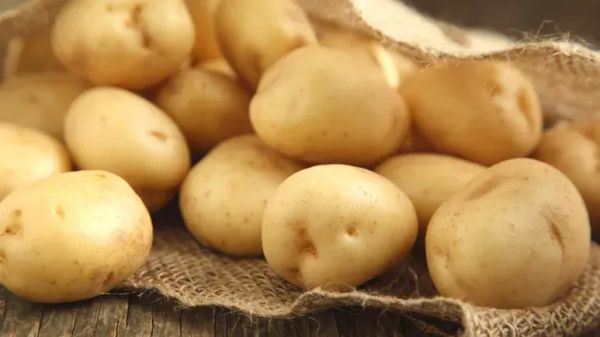 Papa russet: ¡Agrégala al plato de tu mascota con confianza!