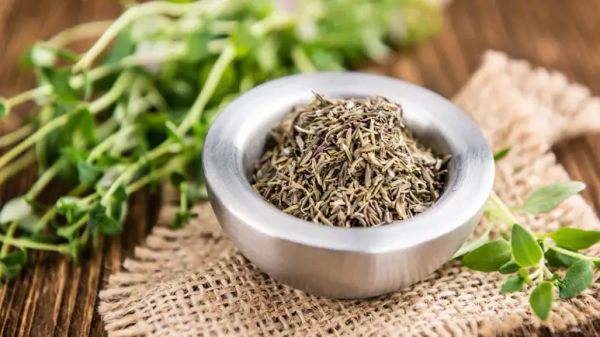 Tomillo: esta joya verde podría calmar la piel de tu mascota