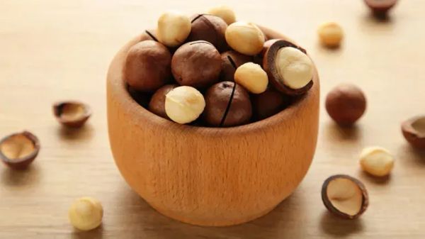 Nuez de macadamia: la nuez que tu mascota nunca debería tocar