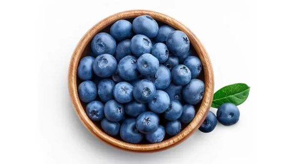 Moras azules: ¿Estás ignorando este pequeño superalimento para tu mascota?