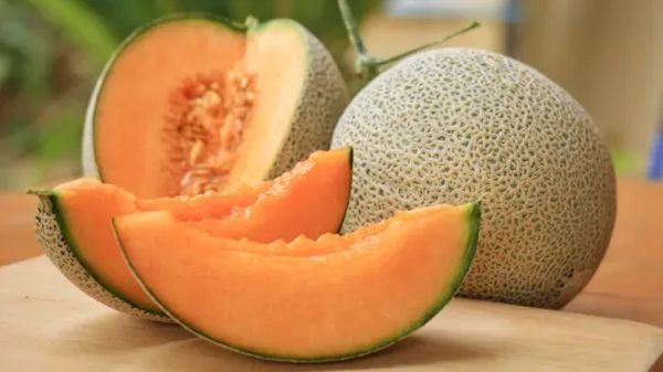 Melón: este premio hidratante podría tener un gran impacto en tu mascota