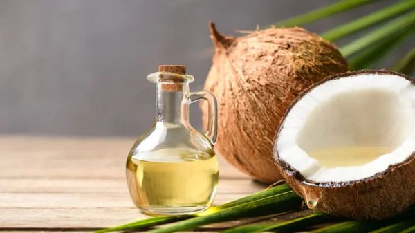 ¿El aceite de coco podría ser esencial para el bienestar de tu mascota?