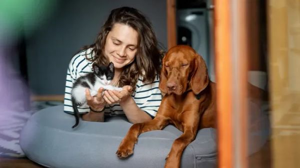 7 pasos que pueden salvarle la vida a tu mascota y que debes conocer