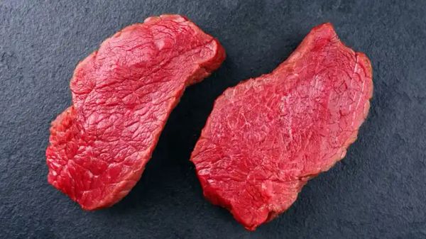 Carne de bisonte: ¿Has pensado en cambiar la proteína de tu mascota? Intenta con esta opción