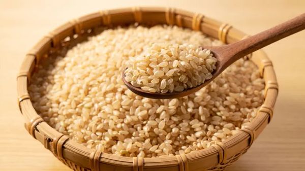 Arroz integral: ¿deberías añadir esta fuente de nutrientes esenciales al plato de tu mascota?