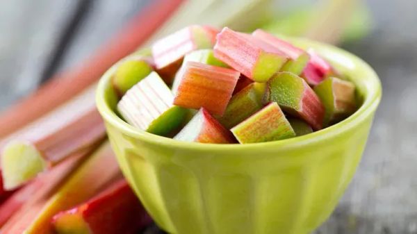 Ruibarbo: ¿Esta verdura colorida es segura para las mascotas? Lee primero estos consejos