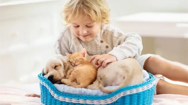 Cómo hacer que tus hijos y mascotas jueguen de forma segura