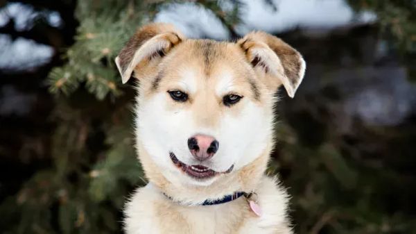 Corrige estos comportamientos "indeseados" de forma rápida y sencilla