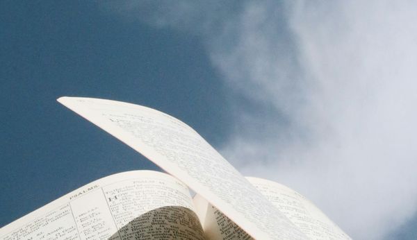 The Business of Contentment