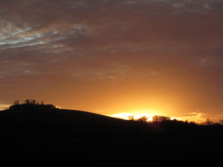 Living like common people: uncovering medieval peasant perceptions of landscape | The Past