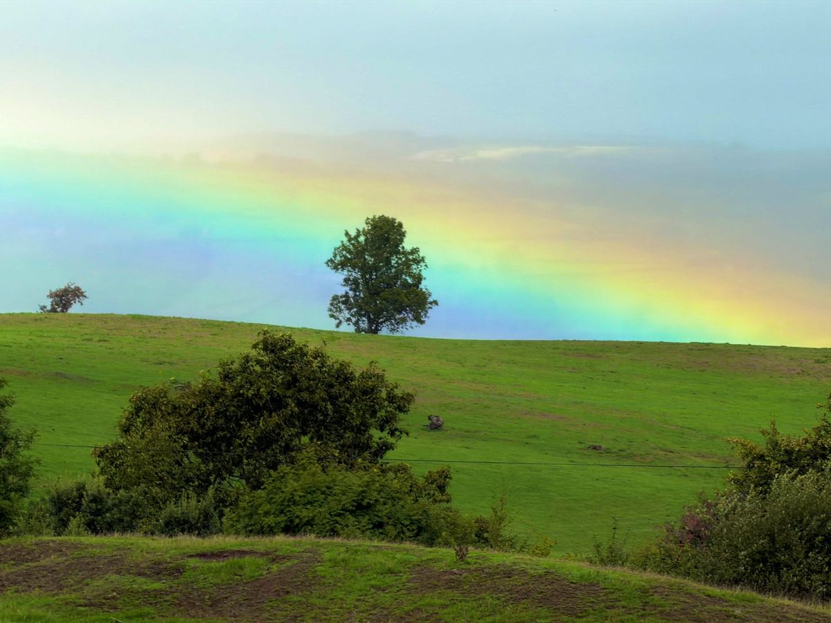 A rainbow above a lone tree and green hills on the Offa’s Dyke walk