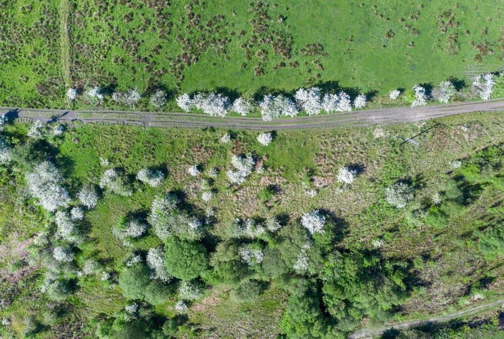 Andy Marshall's Genius Loci Digest: 2 May 2025