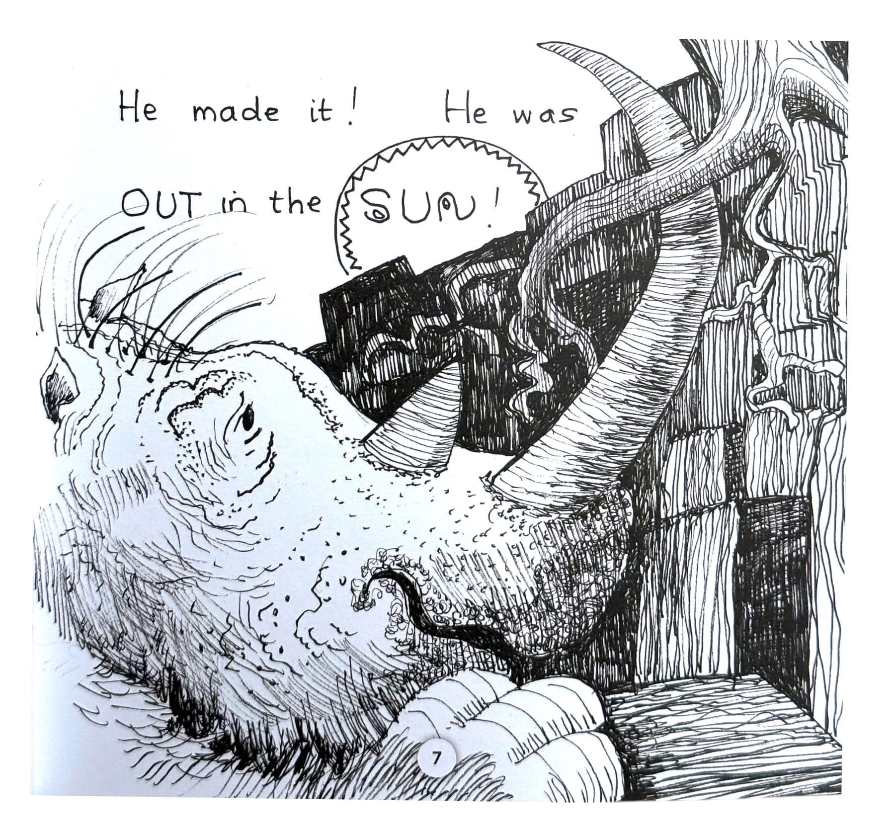 Woolly's Song by Janet Brady