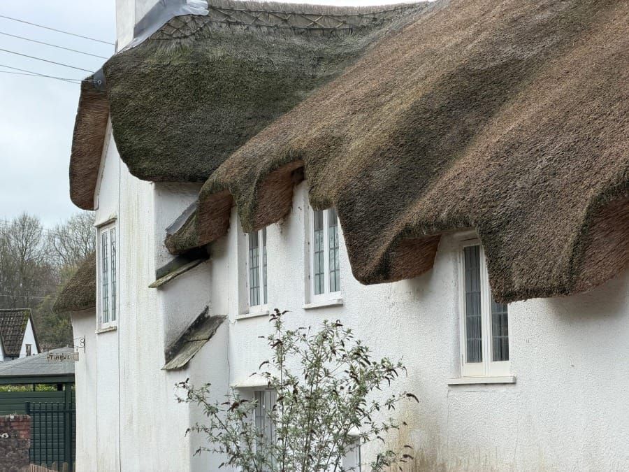 In Pursuit of Spring - Day Nine