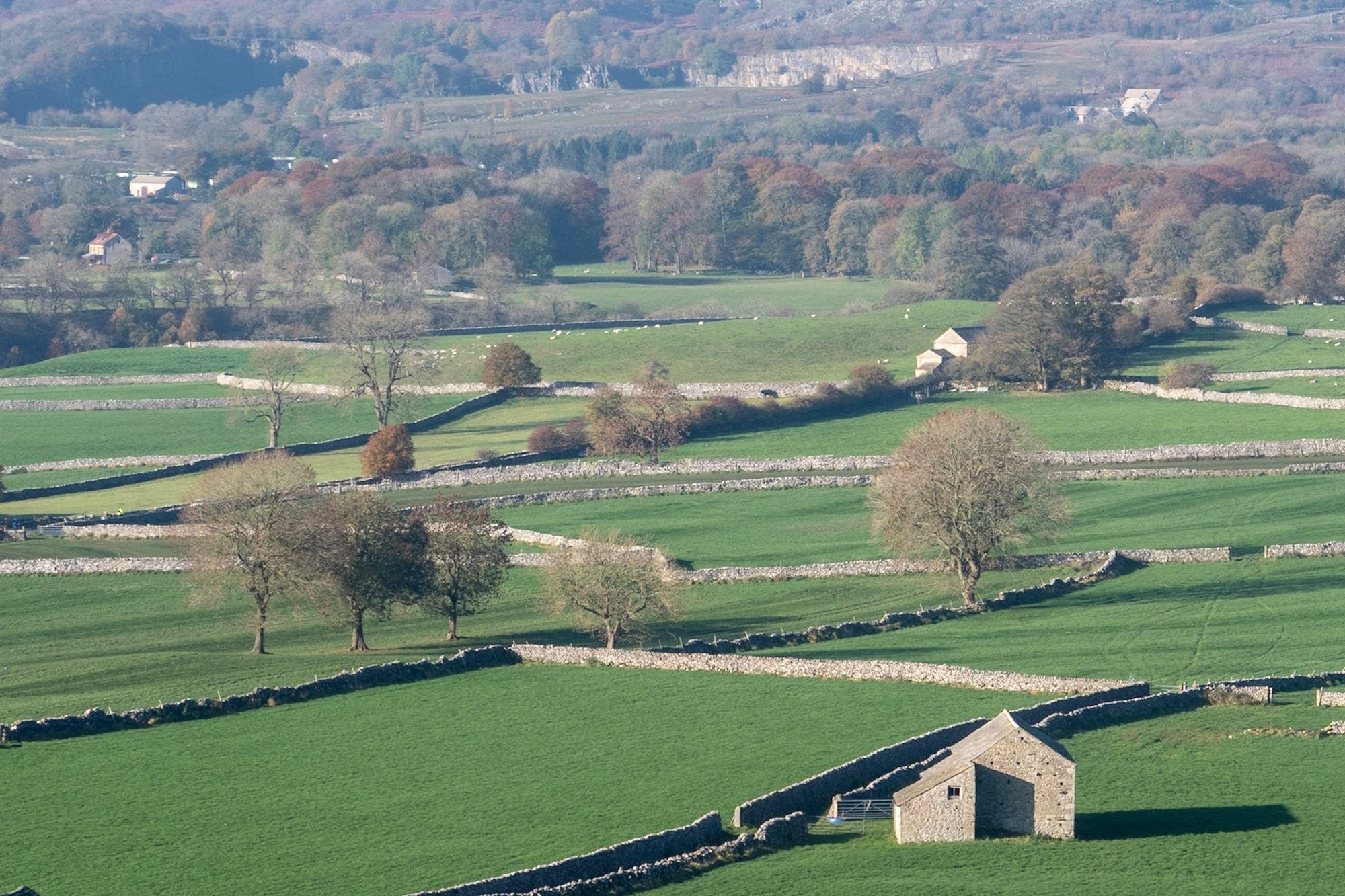 The Barn