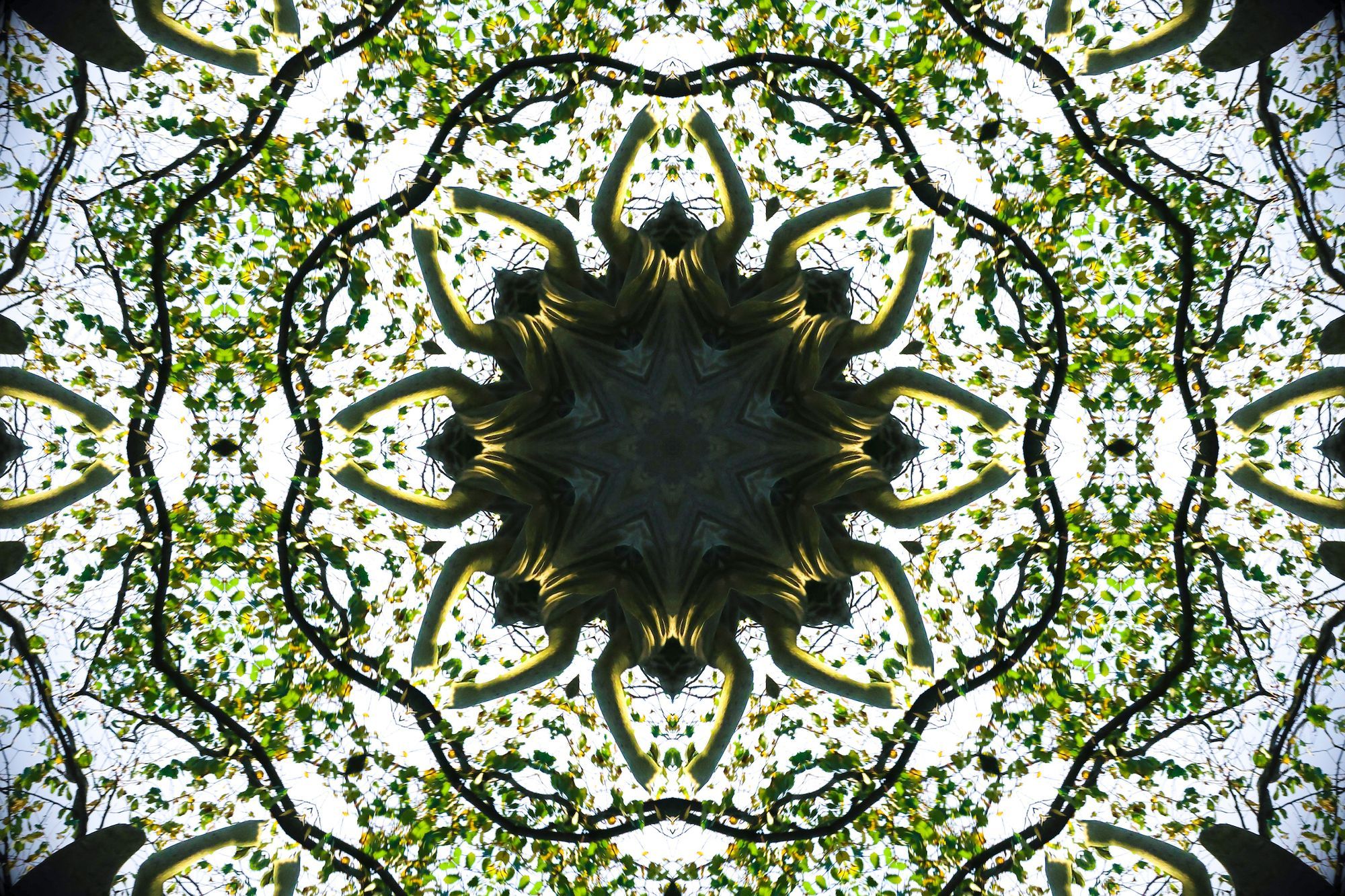 St. Nicholas, Newchurch