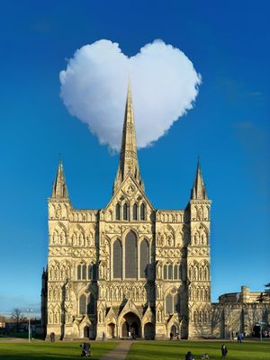 member powered photography