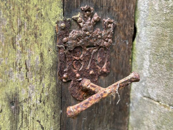 Member Powered Photography: Gumfreston - On the day -18 May 2023