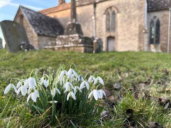 Genius Loci: Mid-week-pick-me-up