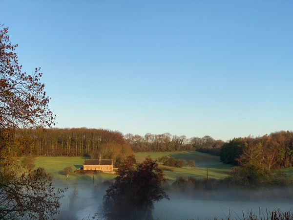 Genius Loci: Mid-week-pick-me-up