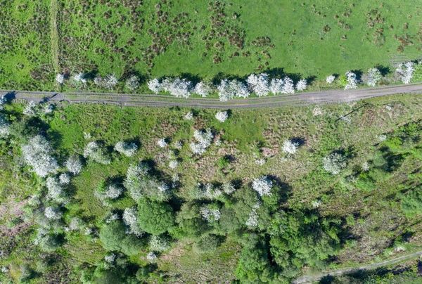 Andy Marshall's Genius Loci Digest: 2 May 2025