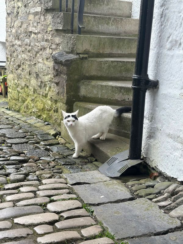 📍Loci: Navigating Kendal's Yards