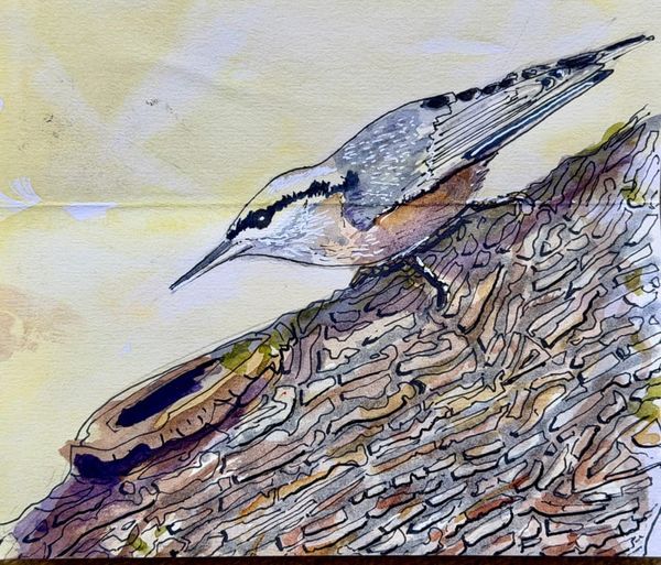 At The Turning of The Light - Fresh Horizons, Ways of Coping