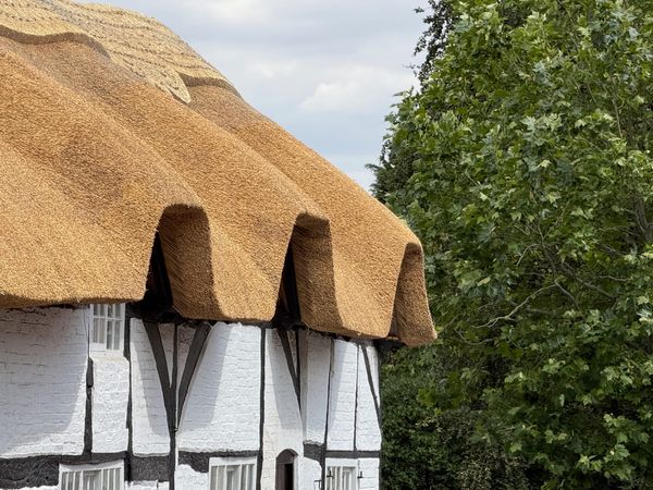 ⟁ Member's Supplement: The buildings of Melbourne, Derbyshire.