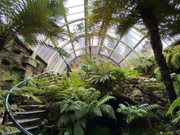 ✨ Treasure Hoard: The Glass House at Benmore Botanic Gardens.