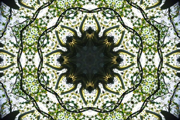 St. Nicholas, Newchurch