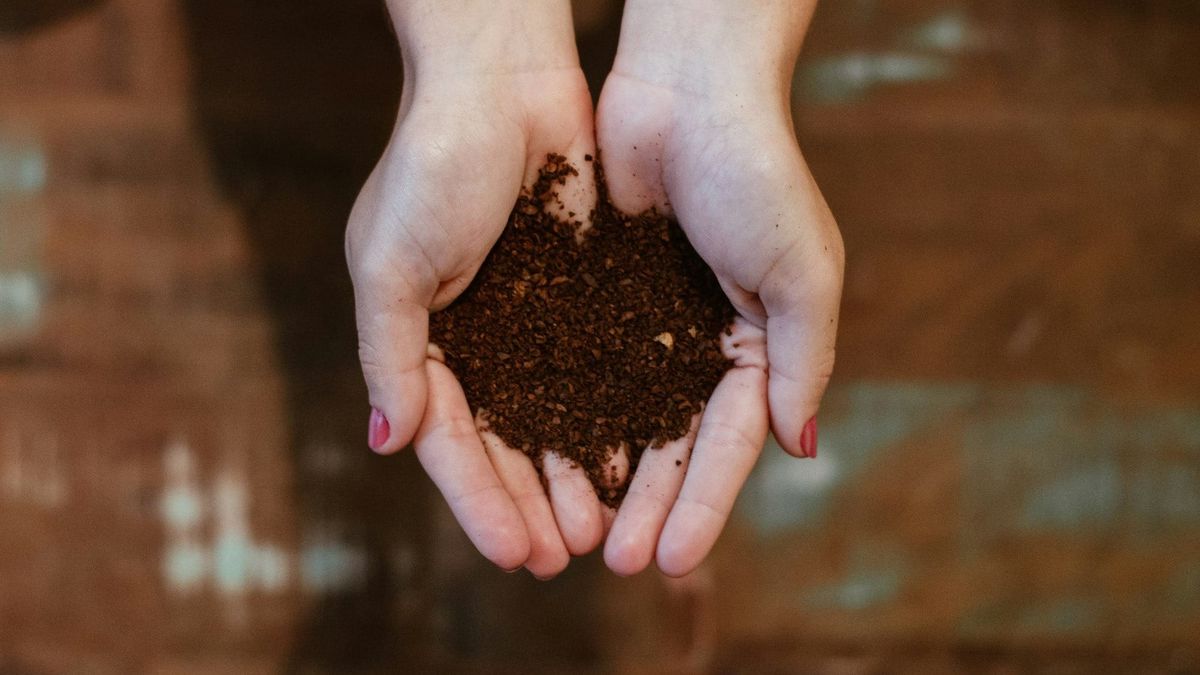 From brew to bloom with tea bags and coffee grounds