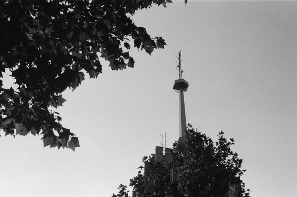 sin ideas originales: paramount vs. netflix y el desolador futuro del cine y la televisión