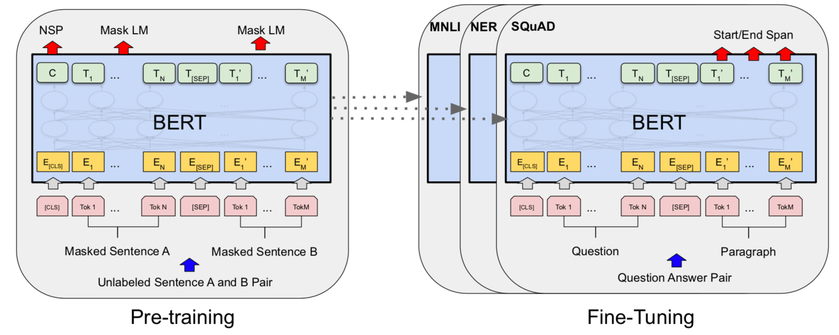 Paper Walkthrough: Bidirectional Encoder Representations from Transformers (BERT)